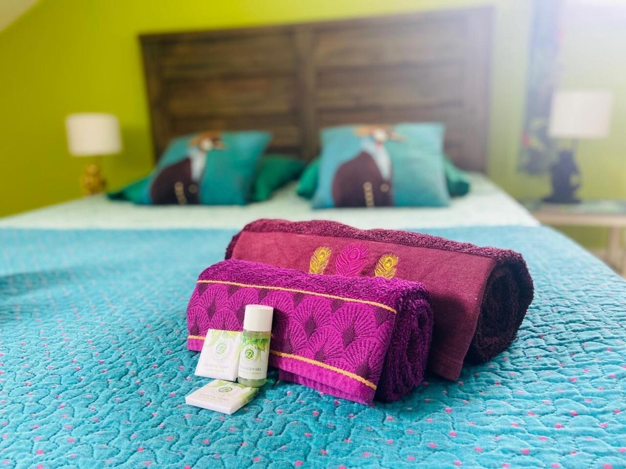 Bed and Breakfast Le Caillou Blanc Saint-Paul Номер фото